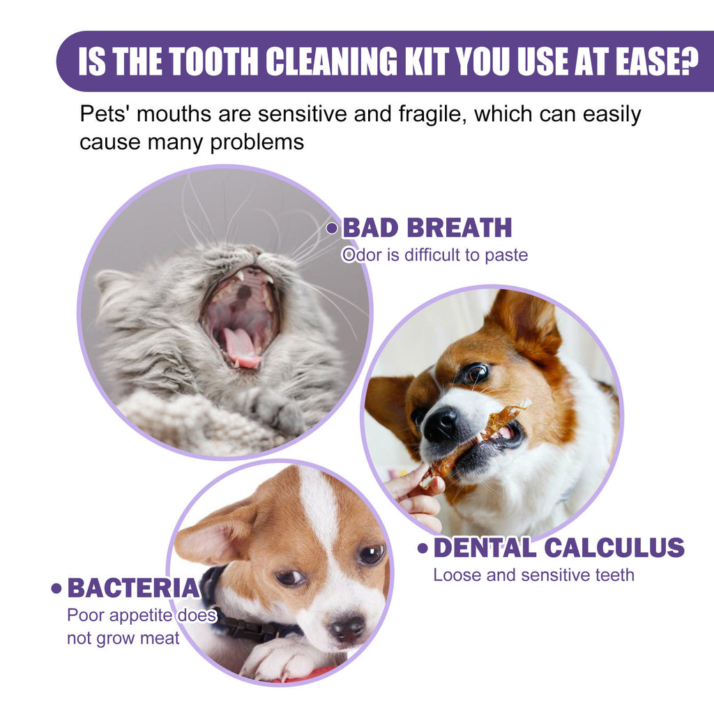 c0e49c7631afd9c3b76b52129e9a3c09
